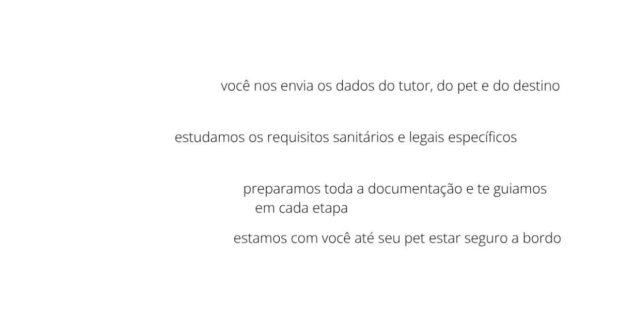Design sem nome (10)